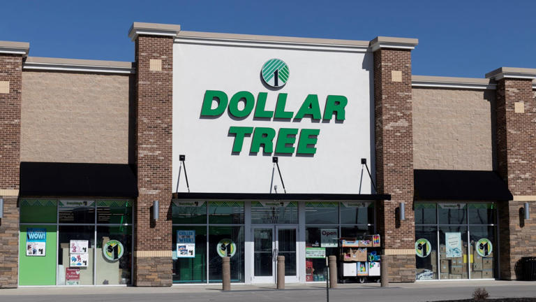 The Truth About Dollar Tree’s Product Quality